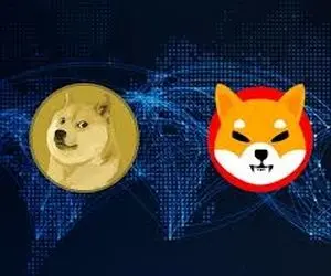 دوج کوین یا شیبااینوکناره گیری خواهد کرد؟!