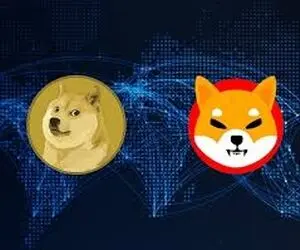 دوج کوین یا شیبااینوکناره گیری خواهد کرد؟!