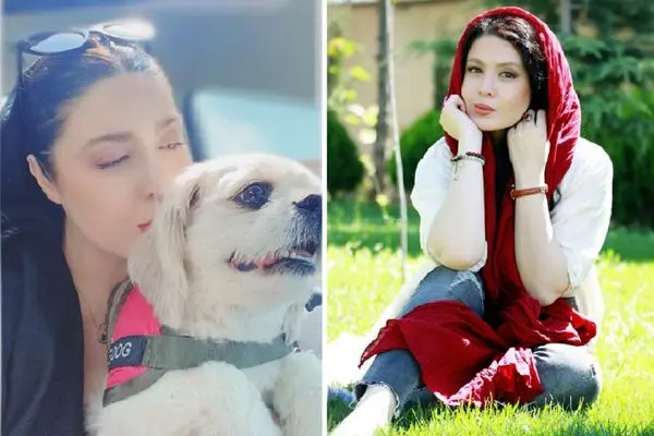 nazanin karimi shayanews