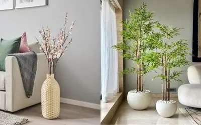 عاشق گل و گیاهی ولی به خاکش وسواس داری؟/ گیاهان آبی بیار تو خونت که خاکم نمیخواد