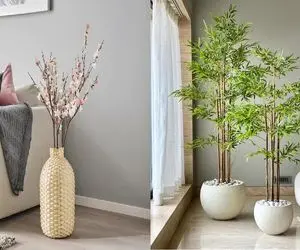 عاشق گل و گیاهی ولی به خاکش وسواس داری؟/ گیاهان آبی بیار تو خونت که خاکم نمیخواد