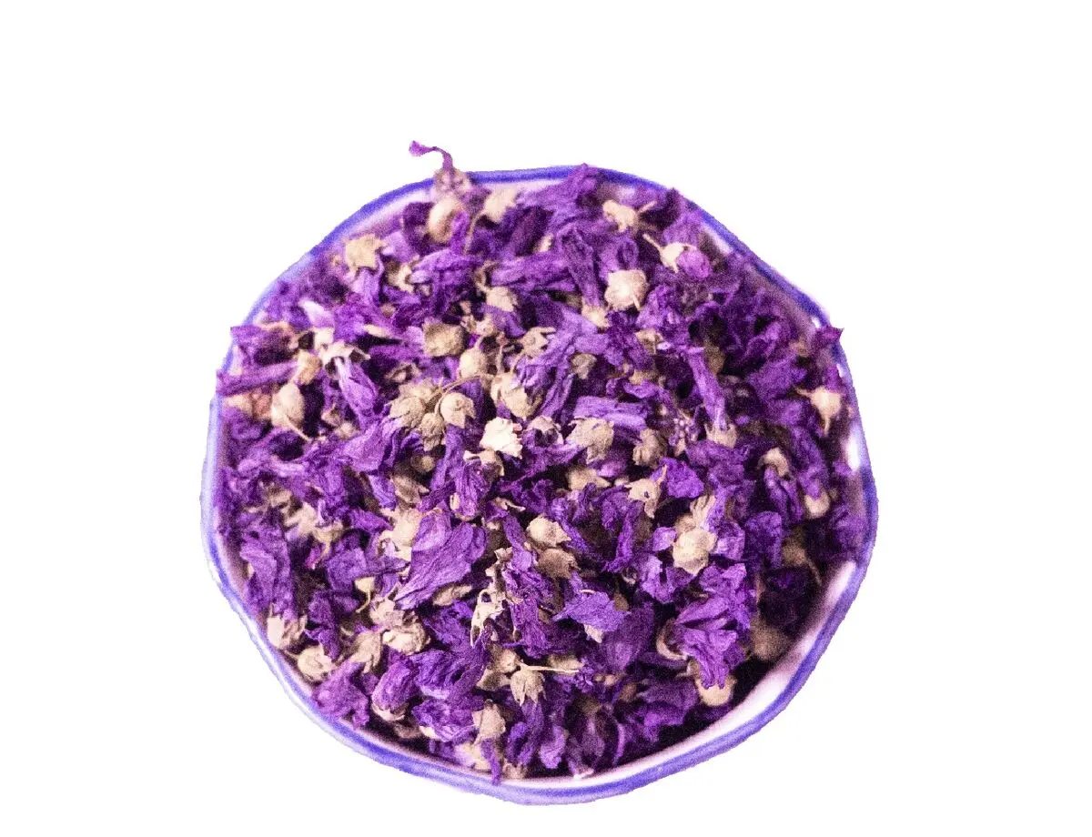 ختمی-برای-سایت-اصلی