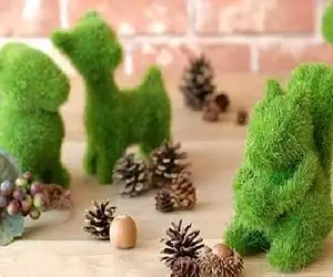 ایده های خلاقانه؛ واسه عید همه سبزه کندم و عدس میذارن تو خاص باشو خاکشیر سبز کن