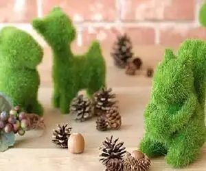 ایده های خلاقانه؛ واسه عید همه سبزه کندم و عدس میذارن تو خاص باشو خاکشیر سبز کن