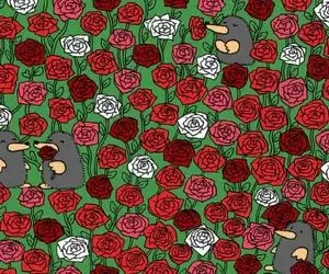 چالش خطای دید؛ اگه بتونی تو 8 ثانیه 3 تا قلب بین گل‌های رز پیدا کنی برو آزمون خلبانی 