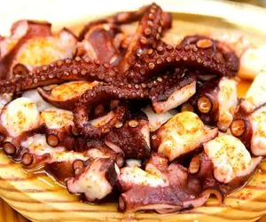 گیاهان و خوراکی های اعیانی؛ ولی خطر ناک ترین خوشمزه های دنیا!