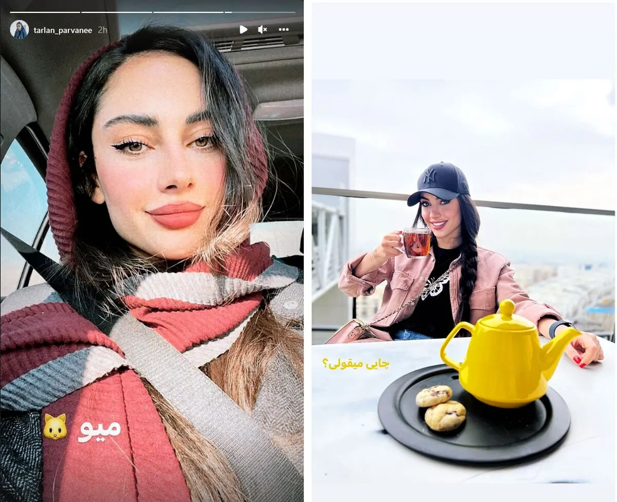 ترلان+پروانه
