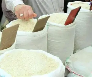 آشفتگی بازار برنج تمامی ندارد/ ماجرای ثبت سفارش غیر قانونی ۱۰ هزار تن برنج چیست؟
