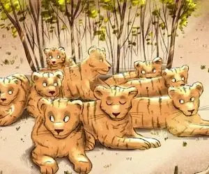 بازی فکری؛ فقط یک نابغه می‌توانه در ۵ ثانیه تشخیص دهد کدومشون ببر نیست!