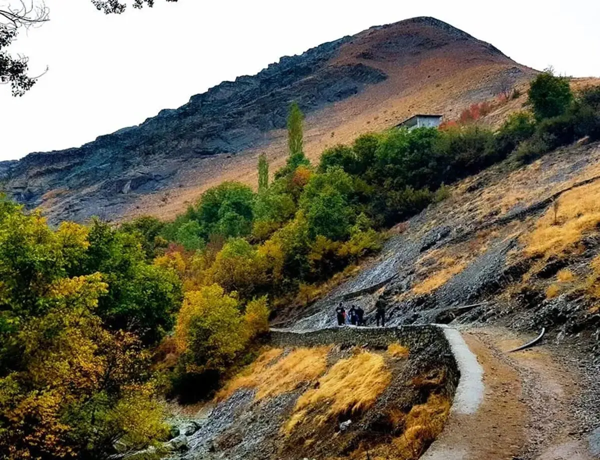 روستا آهار