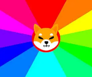 چگونه شیباهای خودرادر سال جدیدنجات دهیم؟