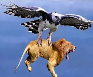 مستند حیات وحش؛ عقاب براش چرنده و خزنده و پرنده نداره