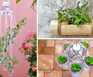 ایده های خلاقانه؛ شاید باورت نشه این جا گلدونی های خوشگل با بطری پلاستیکی درست شده