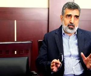 کمالوندی؛ صنعت هسته‌ای متوقف نخواهد شد
