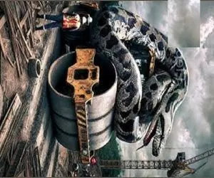 شاهکار حیات وحش؛ پیتون هرکول بعد بلع ناهار خزید تن لششو پیچید دور بیل مکانیکی