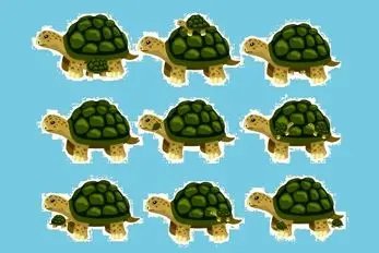 بازی فکری؛ تصویر گیج کننده از  تعداد لاکپشت هارو فقط نیم درصد تونستن حل کنن