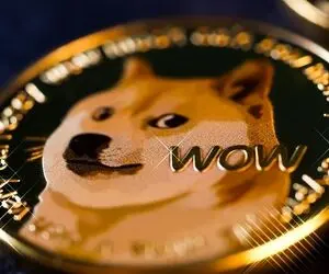 سیگنالی همه فن حریف از دوج کوین!