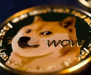 سیگنالی همه فن حریف از دوج کوین!