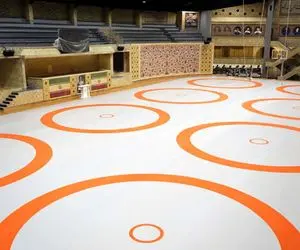 تعطیلی اردوی تیم‌های ملی کشتی به دلیل قطعی برق