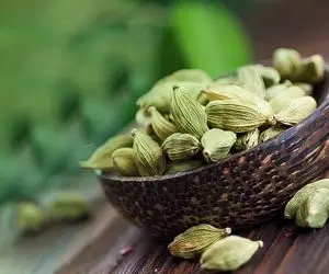 هل خوب و باکیفیت چه ویژگی هایی دارد؟