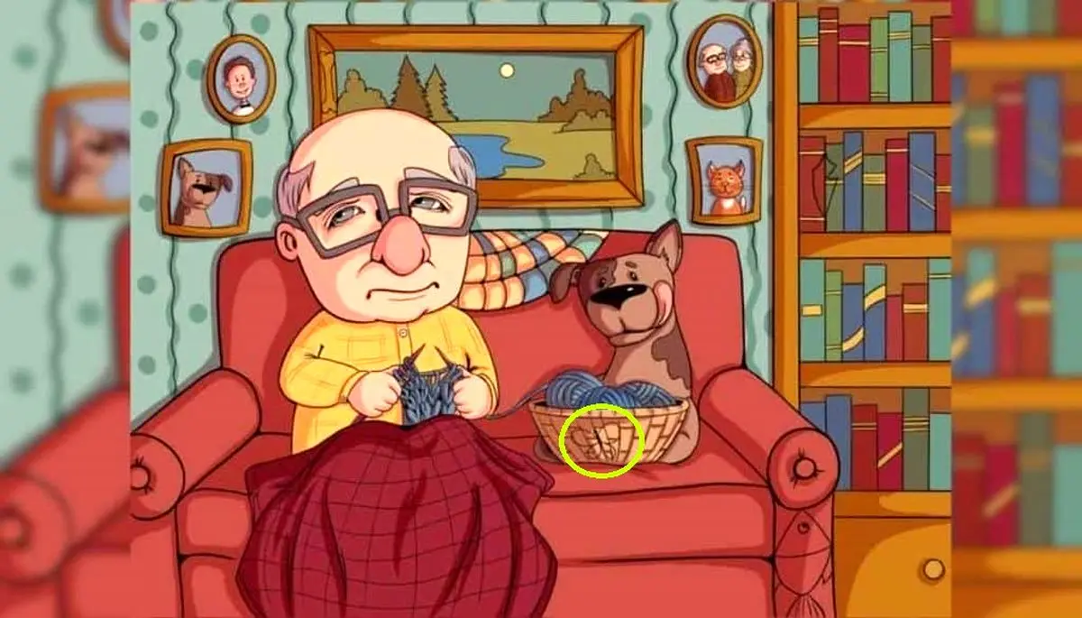 پاسخ-تست-بینایی-یافتن-پروانه-در-اتاق