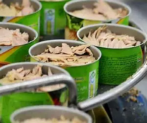 قیمت عجیب برای یک کنسرو تن ماهی؛ چرا قحطی این محصول آمده است؟!