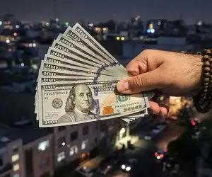 قیمت دلار یکشنبه 5 بهمن 1404