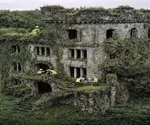 معماری خلاقانه؛ گیاهان عمارت فوق لوکس رو بغل کردن تو بازسازی کندشون خونه به چشم اومد