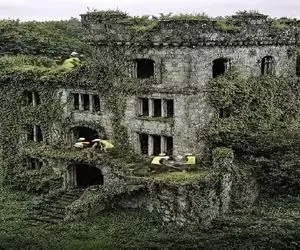 معماری خلاقانه؛ گیاهان عمارت فوق لوکس رو بغل کردن تو بازسازی کندشون خونه به چشم اومد