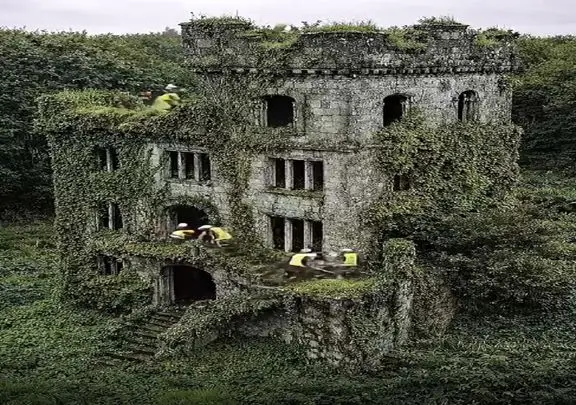 معماری خلاقانه؛ گیاهان عمارت فوق لوکس رو بغل کردن تو بازسازی کندشون خونه به چشم اومد