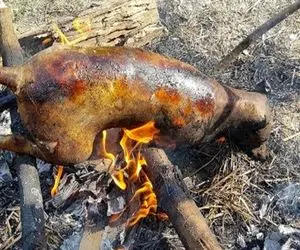 کباب سگ؛ سگ ناز نازی زیادی واق واق میکرد زنده زنده رو آتیش کبابش کردن خوردن