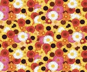 بازی فکری؛ اگه مبصر نابغه جماعتی زنبور عسل رو لا به لای شهد گل ها پیدا کن