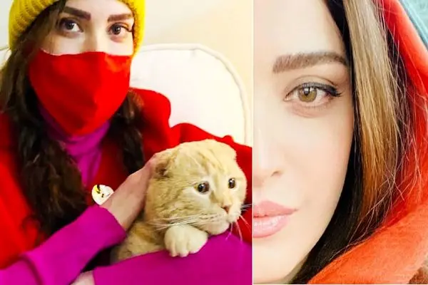 behnoosh tabatabai shayanews