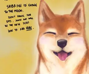 حماسه ای جدید؛آیا شیبا راه نجات دارد؟