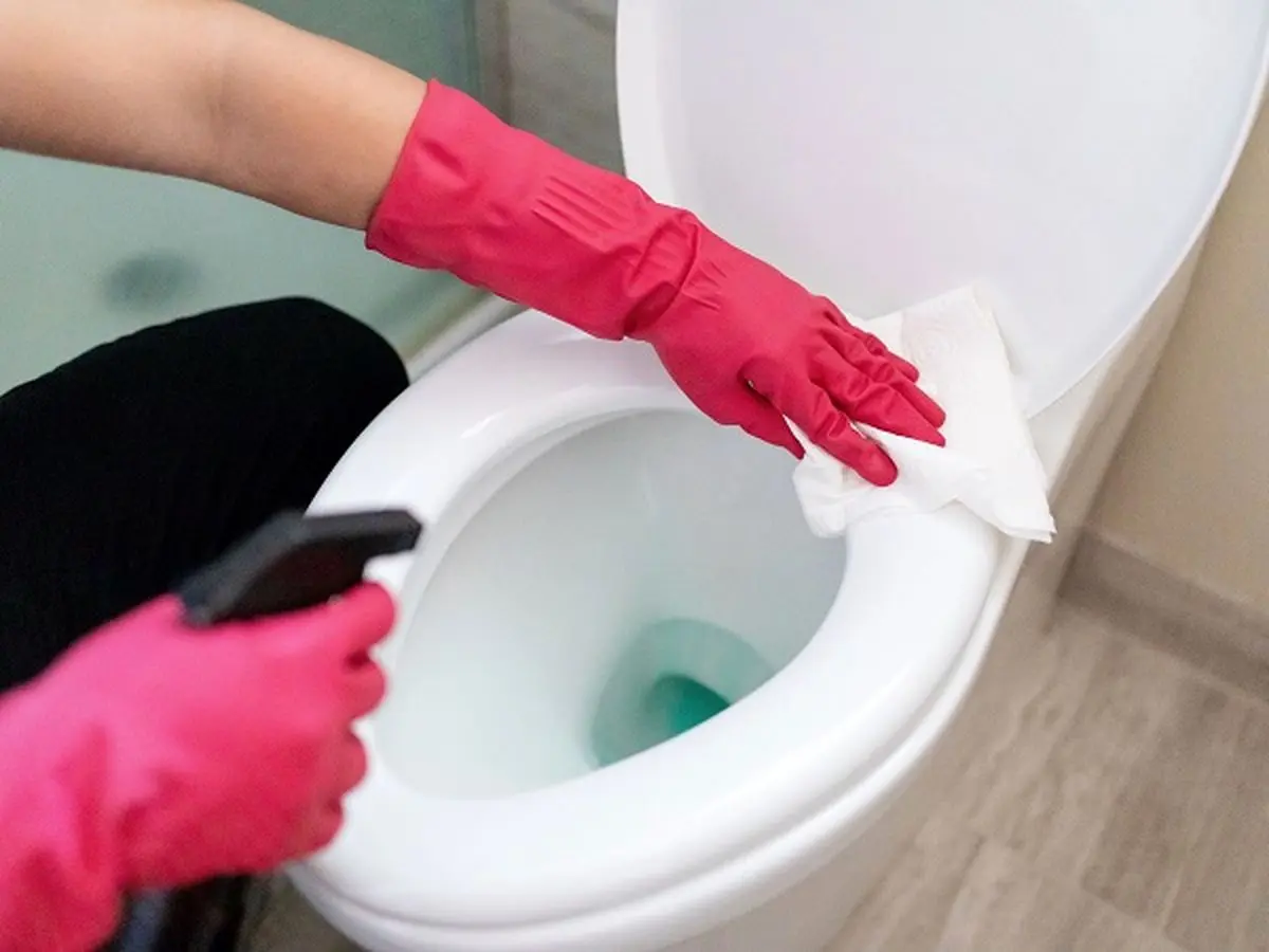 how-to-clean-a-toilet-1900297-01-201c3f2023334460bd082fe848a64c67