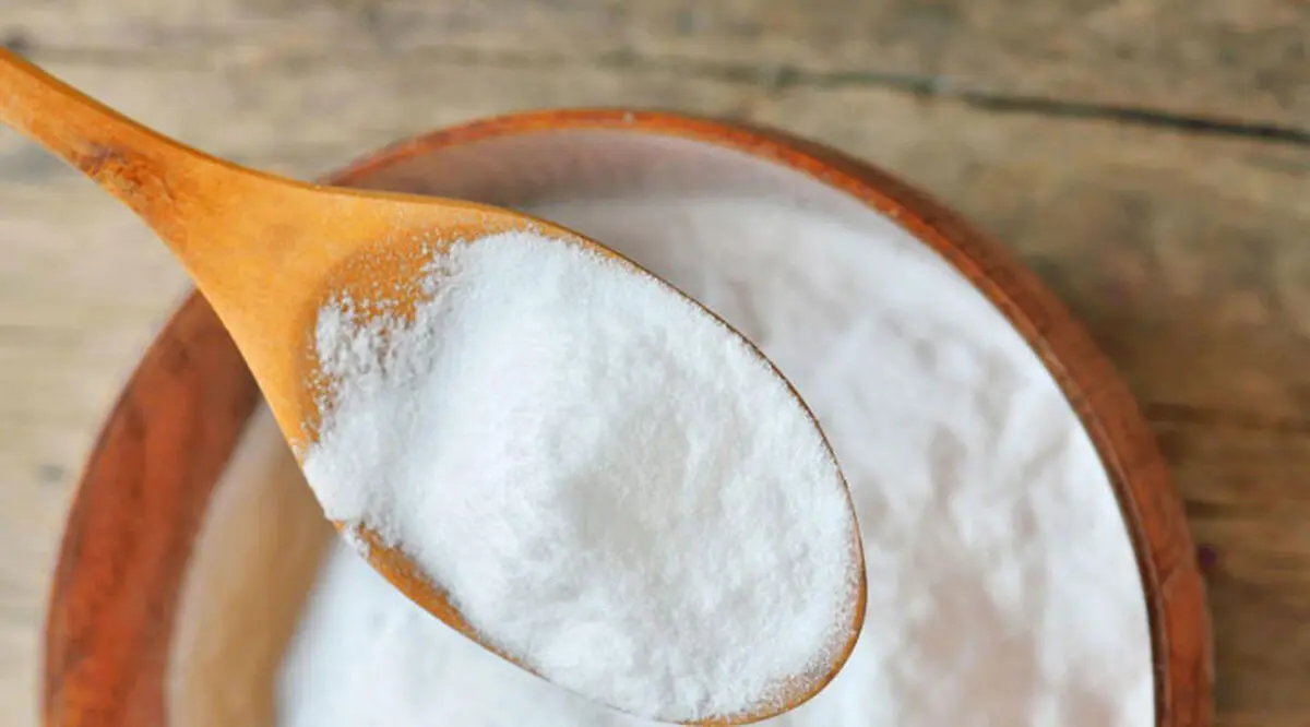 Bicarbonate-of-soda