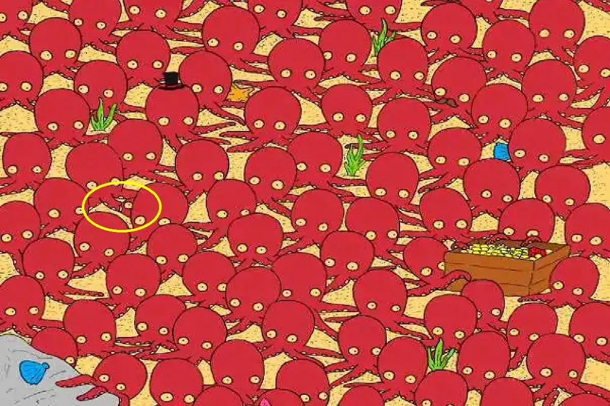 اختاپوس و ماهی 2