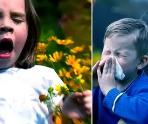 علائم آلرژی فصلی  یا تب یونجه و همه چیزی که راجب آن باید بدانید + راه درمان