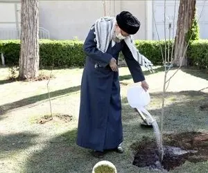 رهبر انقلاب امروز چه درخت‌هایی کاشتند؟