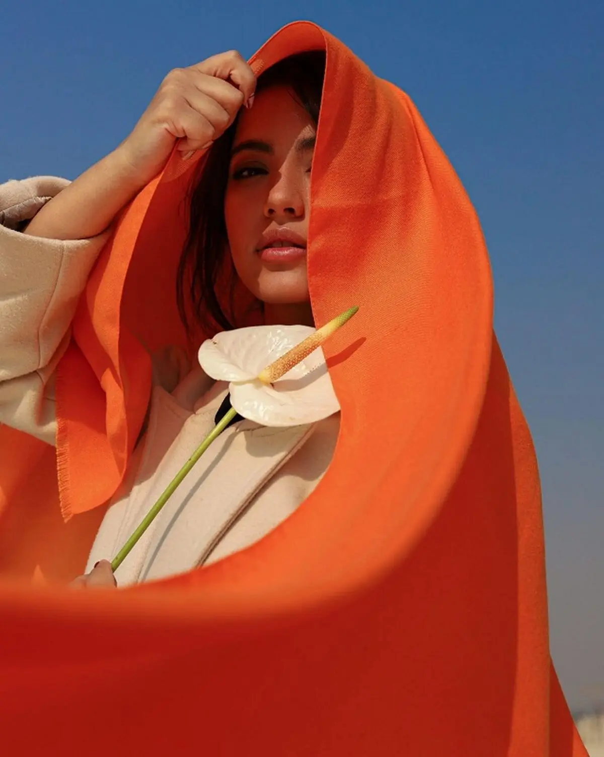 استایل سبز و نارنجی