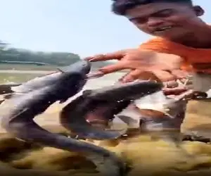 مهندسی حساب شده؛ مرد دستشو طعمه قلاب ماهیگیری کرد جای 1 دونه ماهی اندازه انگشتاش گرفت
