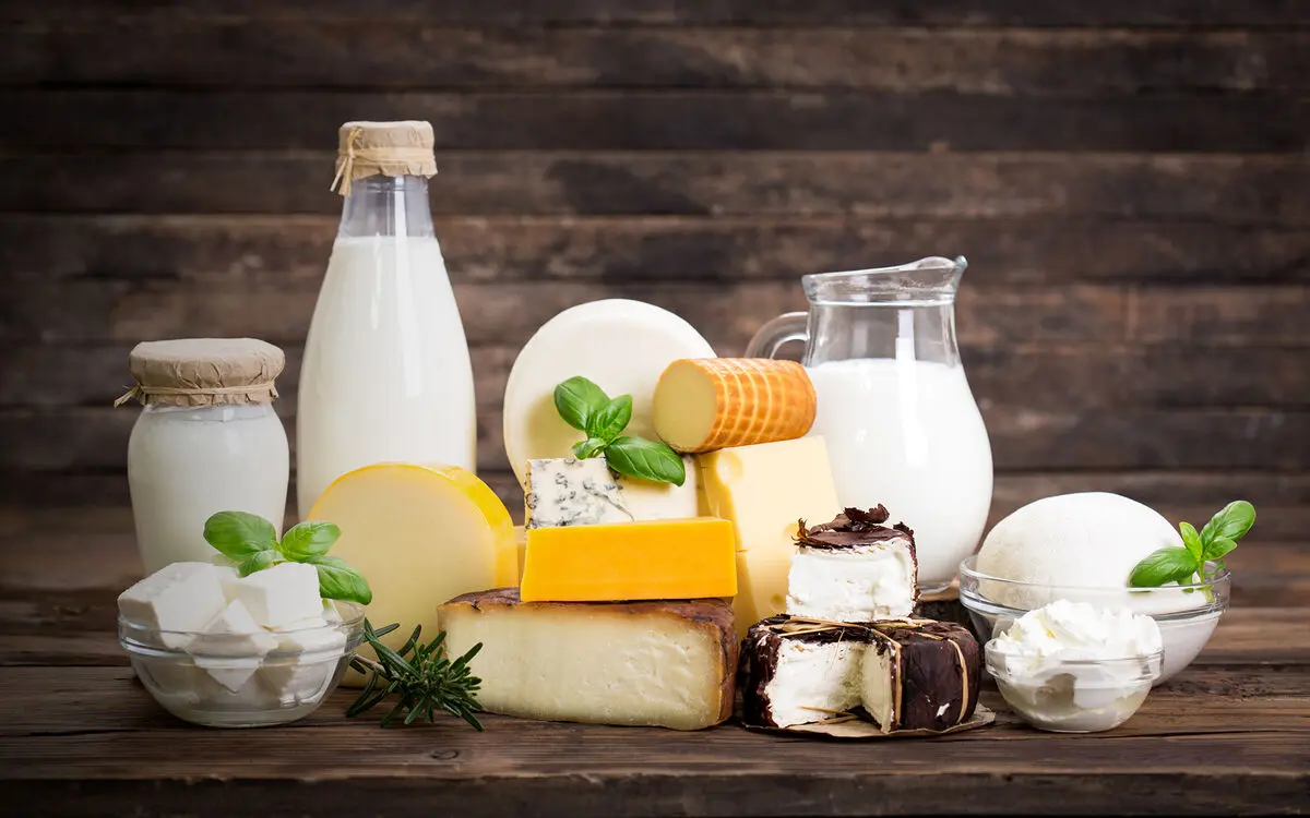 dairy