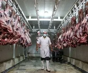 یک خبر نگران‌کننده برای بازار گوشت