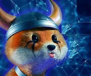 رقیب شیبااینو فلوکی رسما گل کاشت؟