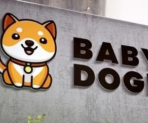 رقابت طرفداران بیبی دوج و شیبا!