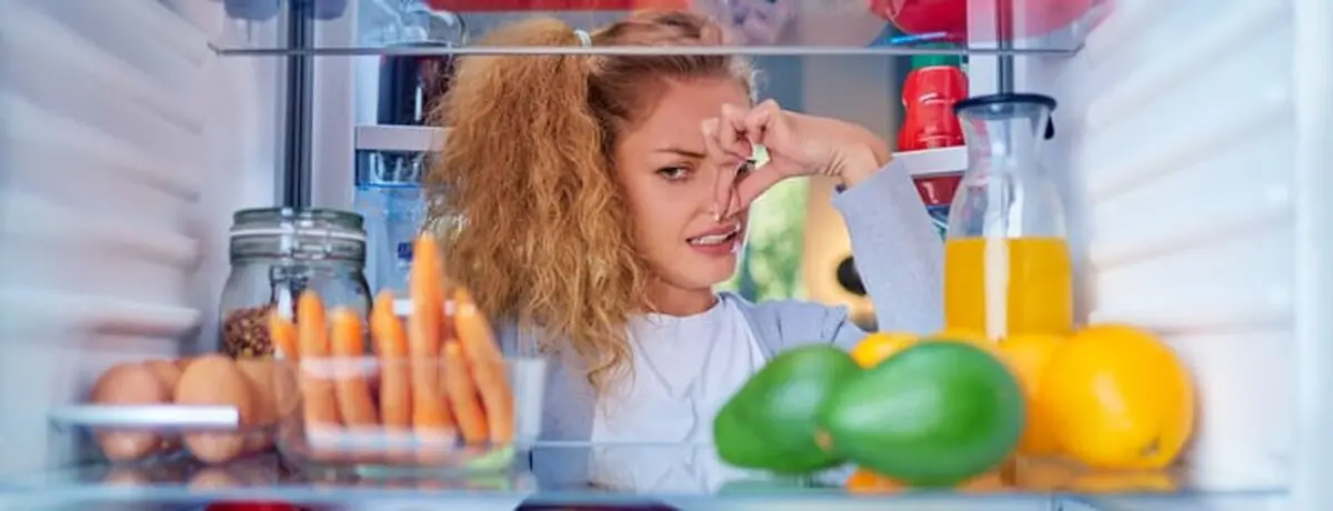 fridge