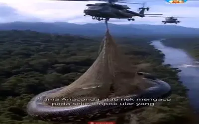 مستند کاوش؛ مار هیولا از محدوده خارج شده عین تیوب بار هلیکوپتر کردن برگردوندن خونه اش