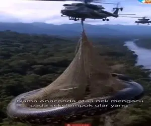 مستند کاوش؛ مار هیولا از محدوده خارج شده عین تیوب بار هلیکوپتر کردن برگردوندن خونه اش