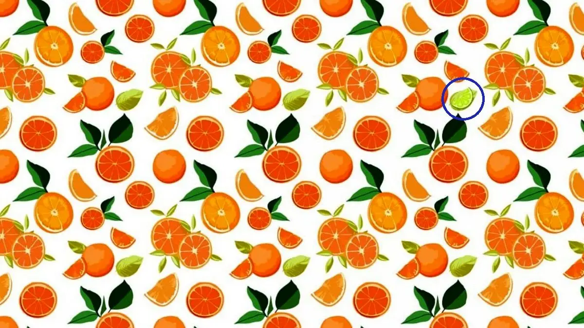 پاسخ-تست-بینایی-لیموترش-پنهان-در-میان-پرتقال_ها