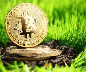 فاش رازها؛زنگ هشدارهای بیت کوین!